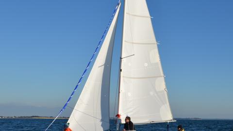 Astusboats Astus 20.2 :