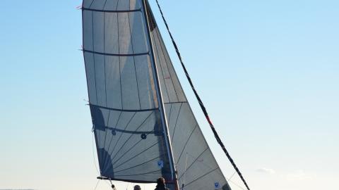 Astusboats Astus 20.2 :