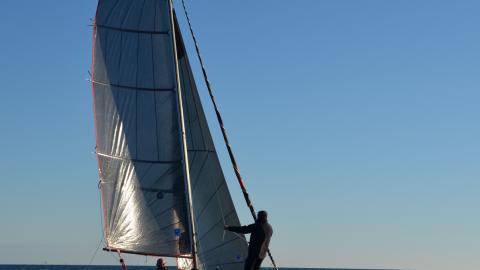 Astusboats Astus 20.2 :