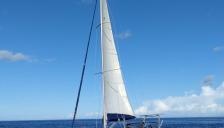 Poncin Yachts Harmony 42 : En navigation